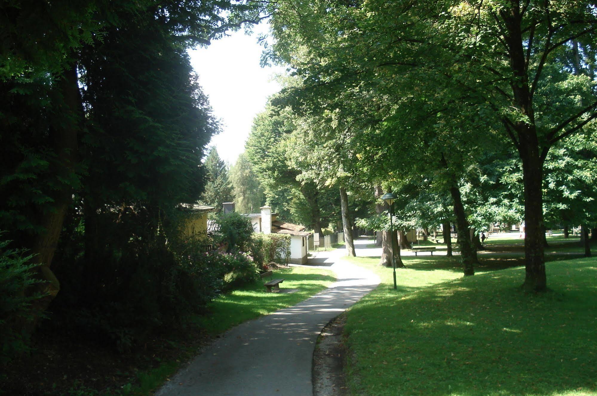Hofmann Salzburgo